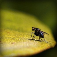 /album/berstevebon/photolia-a07-jpg/